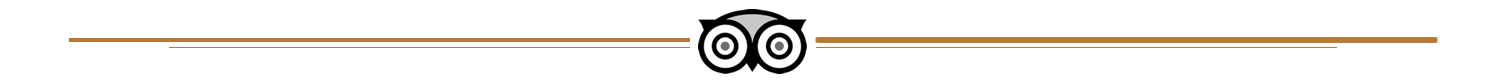 TripAdvisor Logo Header